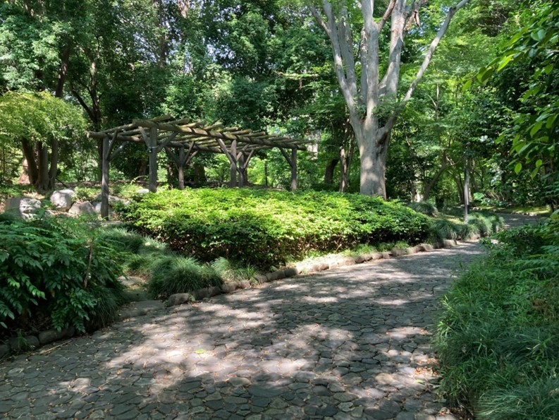 栃木県中央公園